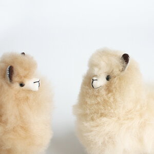 y}\Pő47{zMAITE[}Ce]~jApJ@x[W[ʂ yM ApJ   y[ 킢 ]