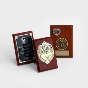 �y100�~�N�[�|���z�z���zVINTAGELawn Bowls Memorabilia Plaques #3