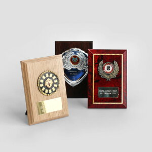 �y100�~�N�[�|���z�z���zVINTAGELawn Bowls Memorabilia Plaques #4