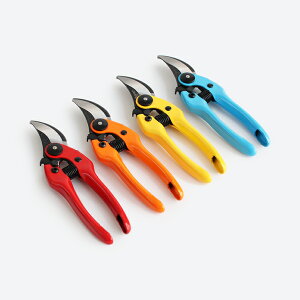 y100~N[|zzzBarnel[o[l]X^_[h ͂