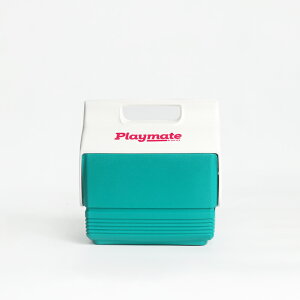 �y100�~�N�[�|���z�z���zIGLOO[�C�O���[]PLAYMATE MINI�yRETRO/�O���[���z�N�[���[�{�b�N�X(3L)