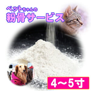 ybg ⍜  T[rX 4~5 ⍜pE_[  { ۊ D ^pbN  L ETM  茳{ ybg{ A