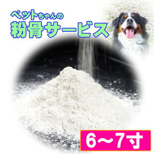 ybg ⍜  T[rX 6`7 ⍜pE_[  { ۊ D ^pbN  L ETM  茳{ ybg{ A