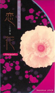 yѓ̂zԁ@Elegant-GKg-Ԕ