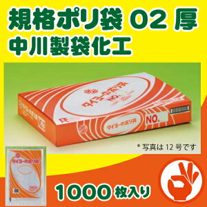 y쐻܉H Ki܁z@^C[̃|܁@02@13@1000@No.13