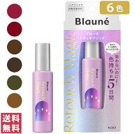 【送料無料(ゆうパケット)】ブローネ リタッチマジック 全6色 ピンクブラウン / ウォームブラウン / ナチ…