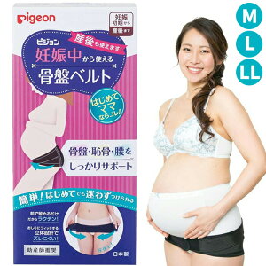 sW DPg鍜Ճxg ubN M / L / LL