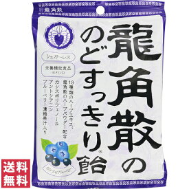 【送料無料(ゆうパケット)】龍角散 のどすっきり飴 カシス＆ブルーベリー 75g【大】