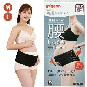 sW g Dw̍T|[^[ M / L