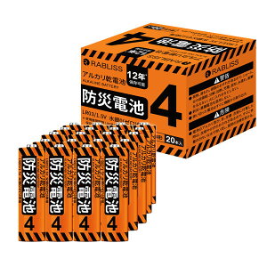 �h�Гd�r �P4�` 20�{�� 1�� �A���J�����d�r 12�N�ۑ� ���d�r �P4�d�r �h�Ўm�ďC �����ۑ�