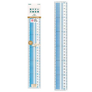 レイメイ藤井 定規 見やすい方眼定規 30cm AJH308 見やすい 方眼定規