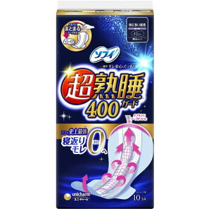 j`[ \tB nK[h400 10yɑ̖p jE`[z