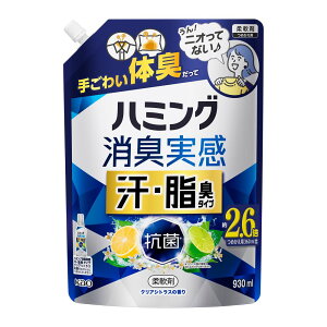 ԉ n~O L EL^Cv NAVgX lߑւ 930ml _