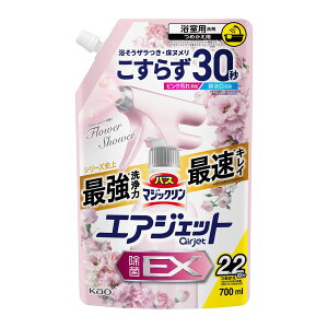 ԉ oX}WbN GAWFbg EX t[V[̍ lߑւ ߂p 700ml