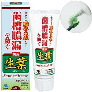 ѐ t 傤悤 ^Rh pn~KL n[u~g 100g 