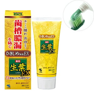 ѐ tEX 傤悤EX ^Rh pn~KL n[u~g 100g 
