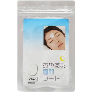 y(䂤pPbg)zTCvX n ₷ݔԃV[g 24yԂ̃V Ԃ̍a z
