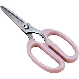 y(䂤pPbg)z֑Z  Lb`͂ gbv{yLb`nT~  KAI  XeX {z