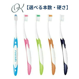 yIׂ邩EIׂ{zGC VF B-20 S M uV W[V[ Ȑꔄ nuV oPA ubVO ݂͂ 10 w Z 