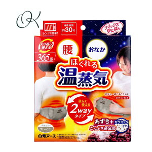 bNX䂽ۂ EȂ 2wayzbg ق鉷C O[W 1  dqW@ Ȃ