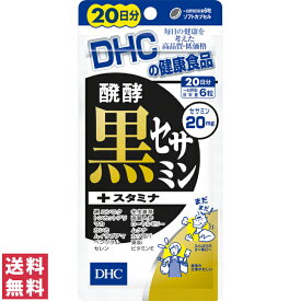 【送料無料(ゆうパケット)】 DHC 醗酵黒セサミン+スタミナ 20日分 120粒 サプリ サプリメント