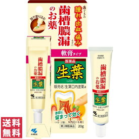 【第3類医薬品】【送料無料(ゆうパケット)】小林製薬 生葉 口内塗薬 20g 軟膏 ジェル【P】