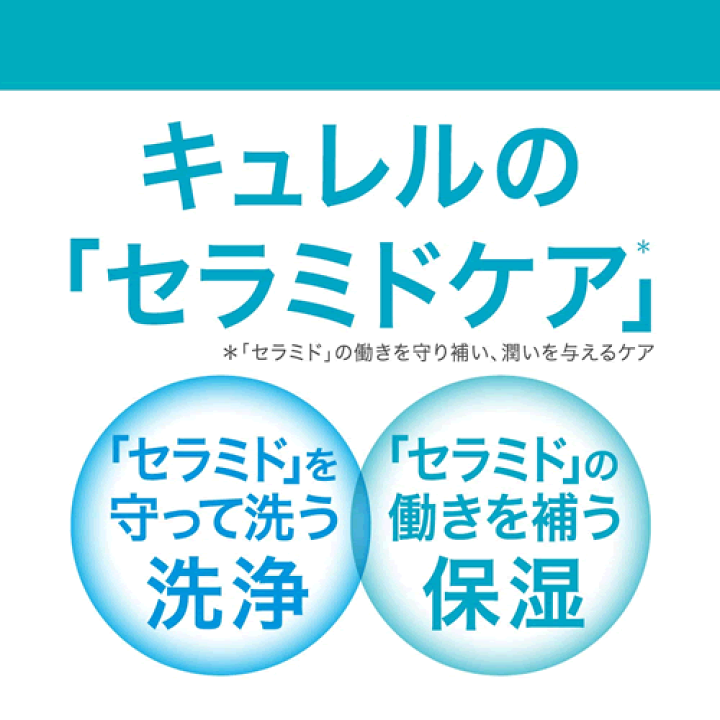 国内即発送 キュレル リップケア バーム 4.2g