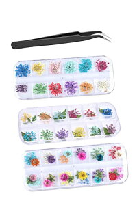 YFFSFDC lCA[gp[c hCt[ lC 36 3{bNZbg hCt[ [X 3D lC fRp DIY lCp[c  [P[Xt sZbgt