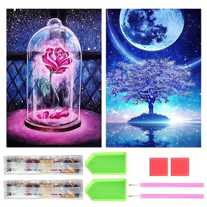 TRX _ChA[g Lbg _Ch̊G 2Zbg ꂢ Sʓ\t _ChA[g 5D S l̎q DIY |Lbg Ƃ̕ǂ̑ (oƍ)