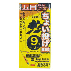 ܂ N-163 傢O ܖ 9-2