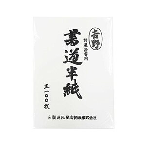 GqH Ip g HAN-YO100P 100