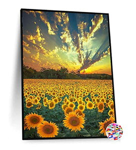 _ChA[g Ђ܂ 5d_ChhLbg hイLbg _ChyCeBO Sʓ\t^Cv r[YA[g G |Lbg NXXeb`Lbg n