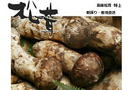【松茸】松茸 国産 送料無料 特上 つぼみ・中開き約70g 2026年産 奥会津産・岩手県産 秋の味覚 山の幸 超…