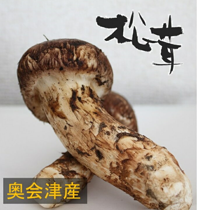 楽天市場】【松茸】松茸 国産 極上200g 奥会津産・岩手県産 秋の味覚 