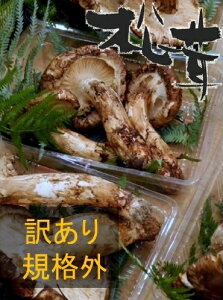 yz Yy󂠂KiOiz100g ÎYE茧Y H̖o R̍K  󏭐H Y ܂  ̂肽 Yn 荂YŏYΏ Ă  