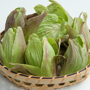 VR R tLmgE ӂ̂Ƃ 500gt̖o R̍K ÎY  肽ĐVN R؂Yn 荂݂ƊÂ݂lC R VՂ tLX  Z X` u 