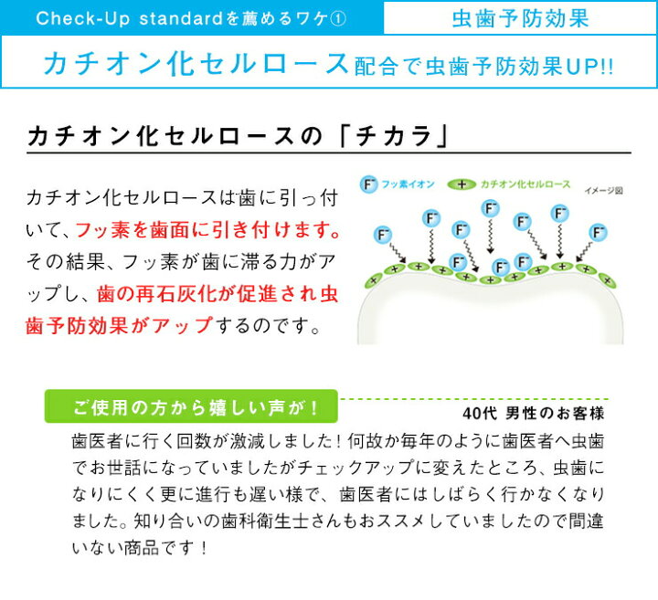 楽天市場 ポイント最大5倍 クーポン チェックアップスタンダード 135g メール便ok お口の専門店 歯科用品専門店