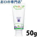 【ポイント5倍】【あす楽】オーラルケア アパガードリナメル ピカキッズ50g【メール便OK】 歯磨き粉／ハミガキ粉 ランキングお取り寄せ