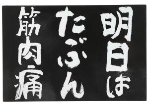 XebJ[Donperi ͂Ԃؓ  }OlbgXebJ[ 10cm×15cm J[XebJ[ h OΉ ԗp B0055