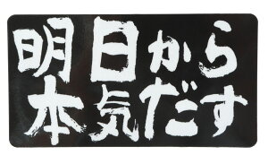 XebJ[Donperi {C  }OlbgXebJ[ 8cm×15cm J[XebJ[ h OΉ ԗp B0082