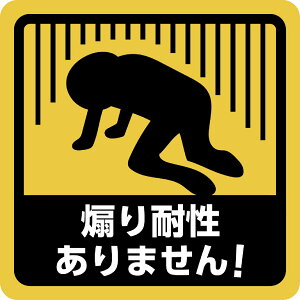 ステッカー屋Donperi 煽り耐性ありません! 車用 おもしろ 防水 マグネットステッカー カーステッカー ステッカー 傷隠し 煽り運転対策 車 B0110