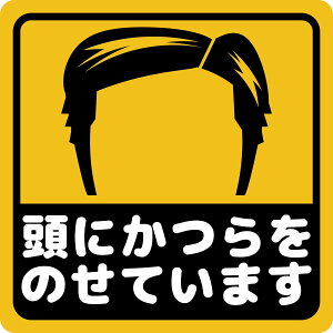 ステッカー屋Donperi 頭にかつらをのせています 車用 おもしろ 防水 マグネットステッカー カーステッカー ステッカー 傷隠し 煽り運転対策 車 B0117