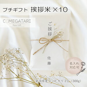 A 2×10Zbg AMtg  A z A Mtg ސE  Yx v[g  E ٓ ]E oYj   A v`Mtg Ђ yY  