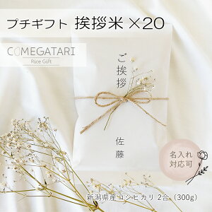 A 2×20Zbg AMtg  A N Nn ei z A Mtg ސE  Yx v[g E oYj   A v`Mtg  Ђ yY