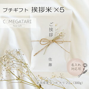 A 2×5Zbg AMtg  A z A Mtg  ސE  Yx v[g E ٓ ]E oYj   A v`Mtg Ђ yY  