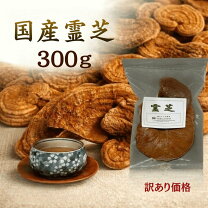楽天市場】マンネンタケ 霊芝の通販
