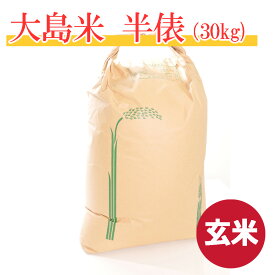 【令和5年産】岐阜県産コシヒカリ・大島米 おかずなしでも美味しい！お冷ご飯にすると違いがわかります