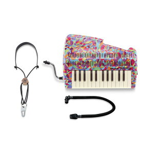 SUZUKI ANDES 25F GEOMETRIC XYL AfX J[ WIgbN