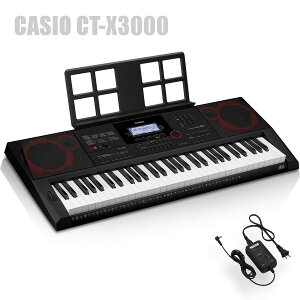 CASIO CT-X3000 JVI L[{[h 61