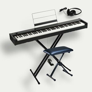 KORG D1 ROdqsAm X^X^hiWxj ֎q wbhzZbg Xs[J[X